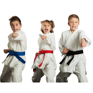 Kixx Universel Taekwondo